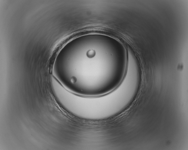 X0000115291164200911161627