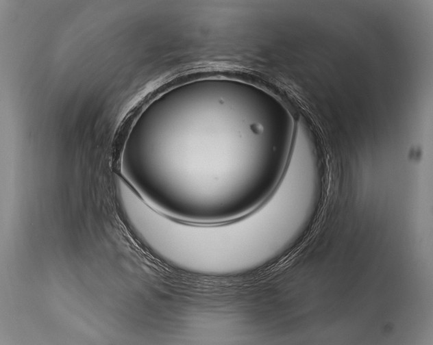 X0000115291165200911161627