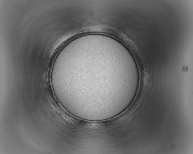 X0000115291166200911161627