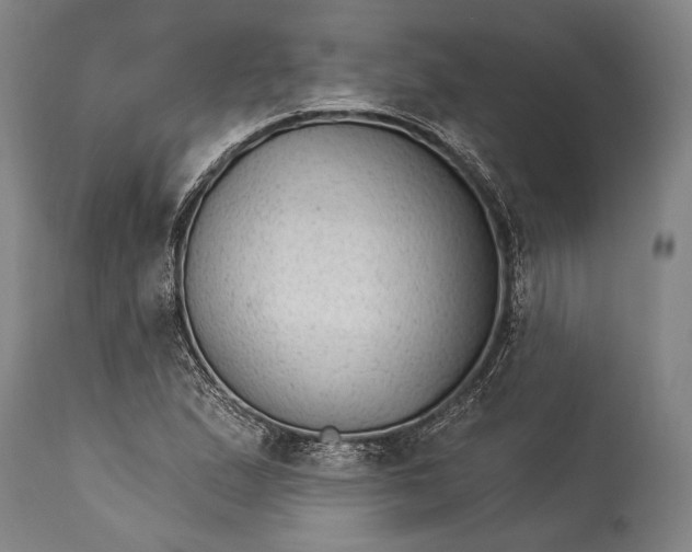 X0000115291167200911161627