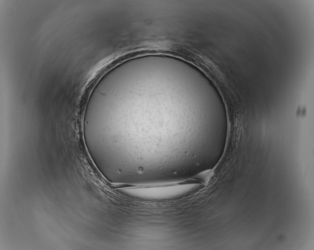 X0000115291168200911161627