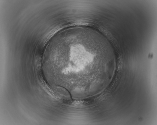 X0000115291169200911161627