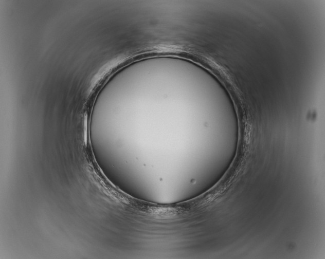 X0000115291171200911161627