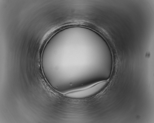 X0000115291172200911161627