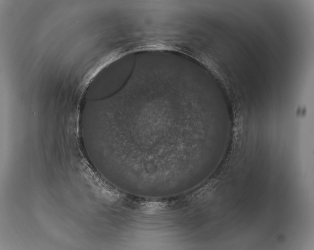X0000115291173200911161627