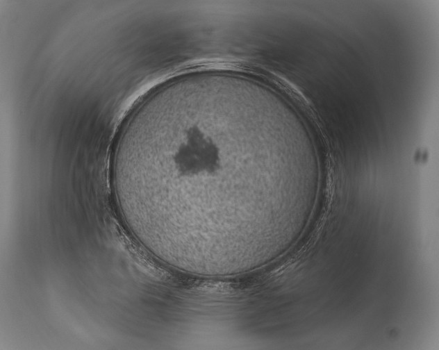 X0000115291174200911161627