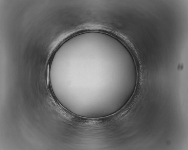 X0000115291175200911161627