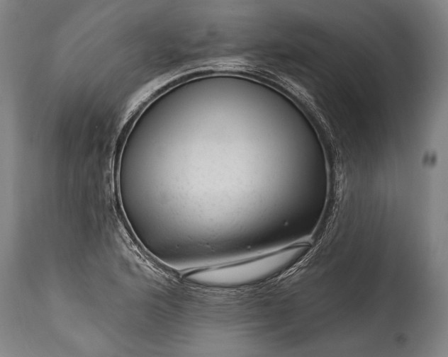 X0000115291176200911161627