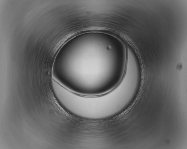 X0000115291177200911161627