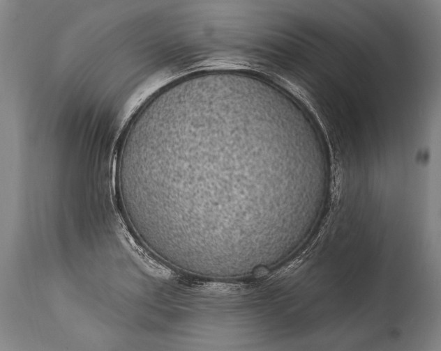 X0000115291179200911161627
