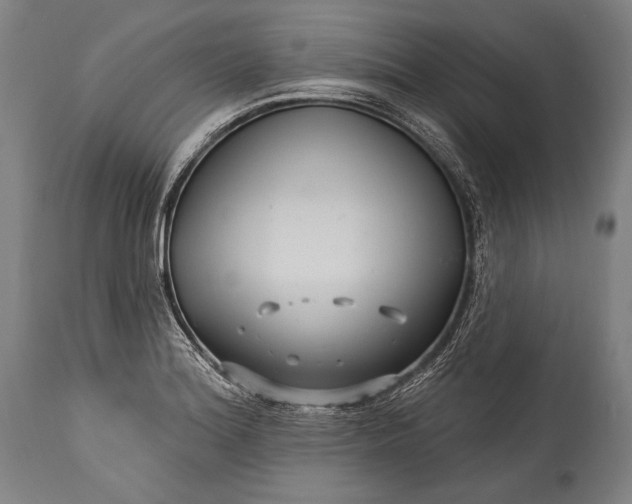 X0000115291180200911161627