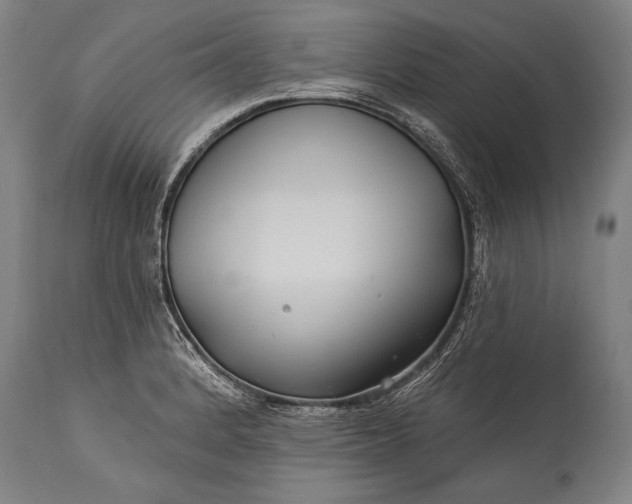 X0000115291184200911161627