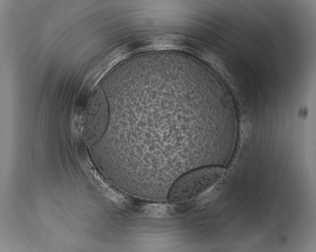 X0000115291185200911161627