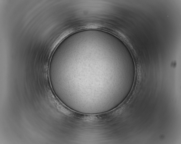 X0000115291186200911161627