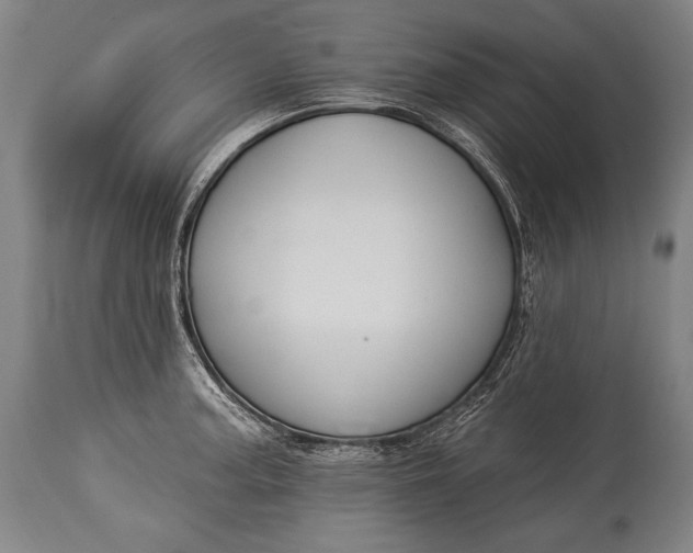 X0000115291187200911161627