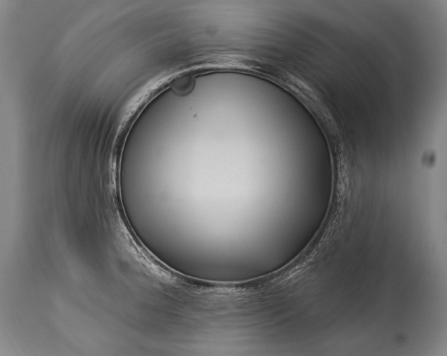 X0000115291188200911161627