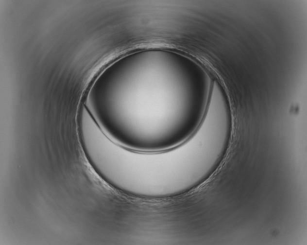 X0000115291189200911161627