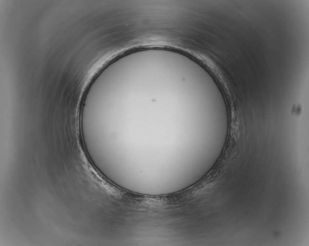 X0000115291191200911161627