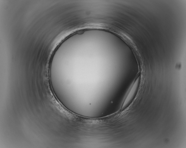 X0000115291192200911161627