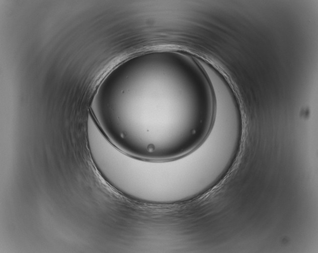 X0000115291193200911161627