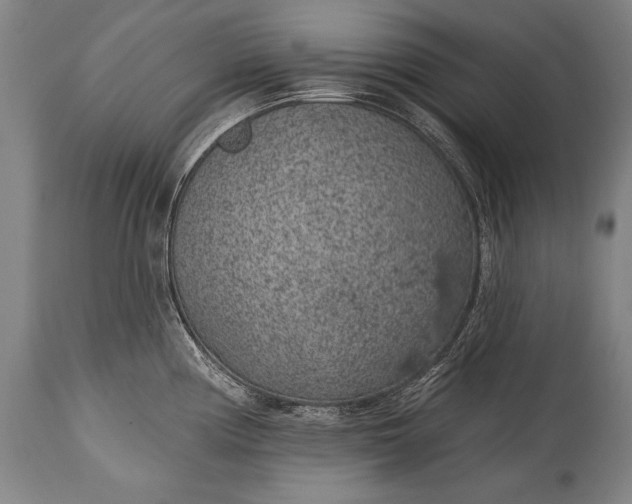X0000115291194200911161627