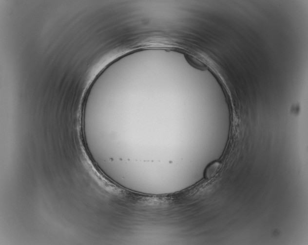 X0000115291195200911161627