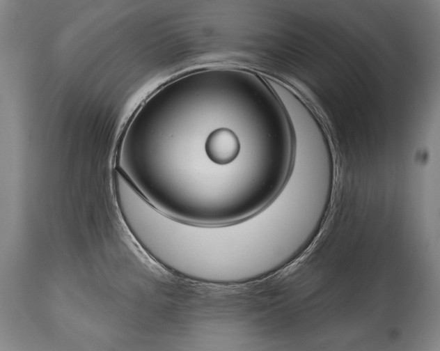 X0000115291196200911161627