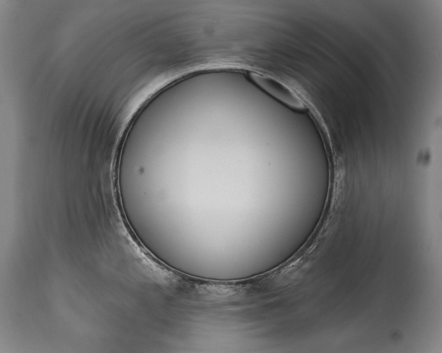 X0000115291197200911161627