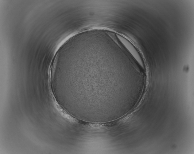 X0000115291198200911161627
