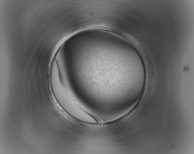 X0000115291200200911161627