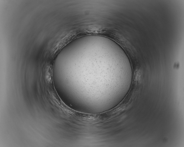 X0000115291202200911161626