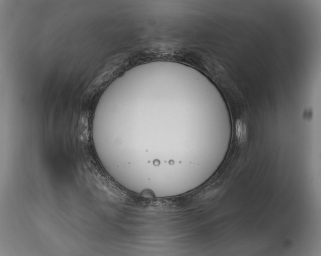 X0000115291203200911161626
