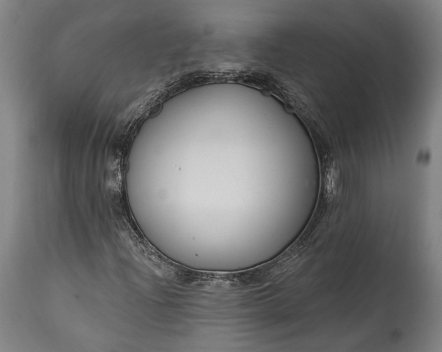 X0000115291204200911161626