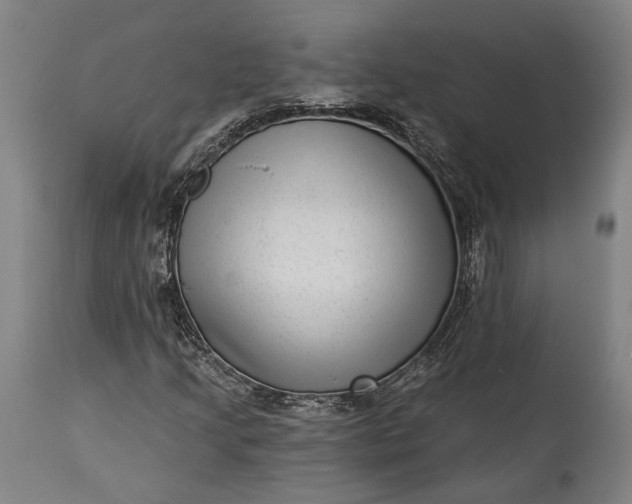 X0000115291205200911161626