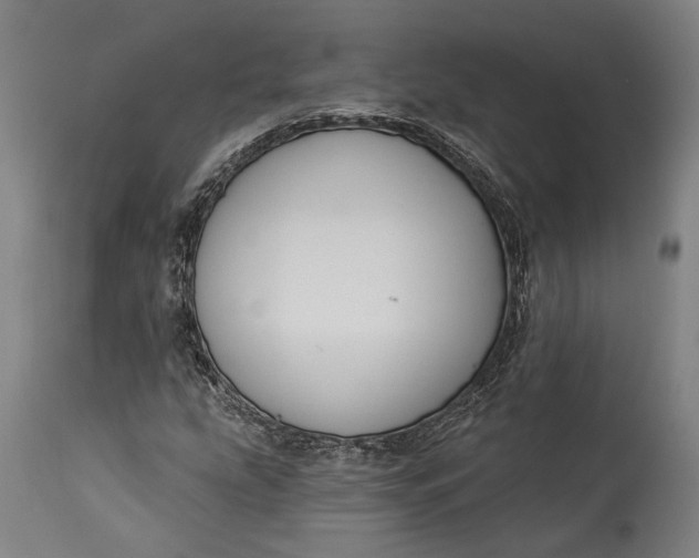 X0000115291207200911161626