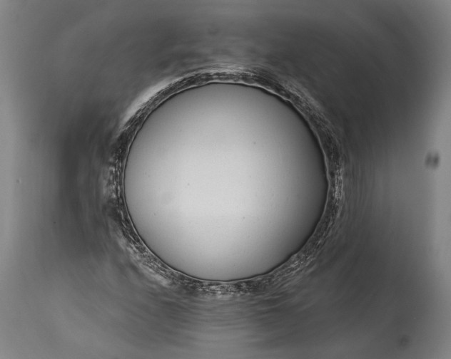 X0000115291208200911161626