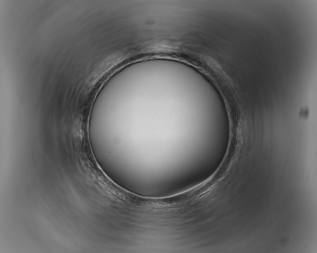 X0000115291209200911161626