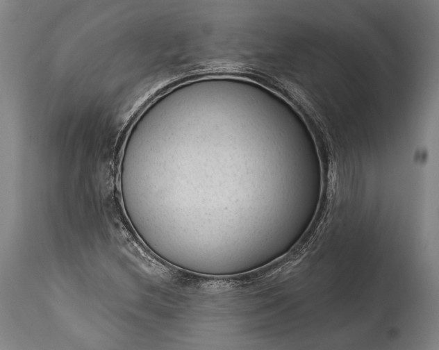 X0000115291212200911161626