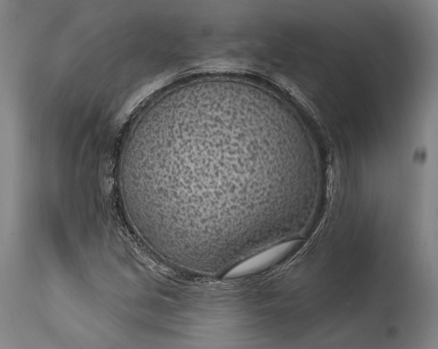 X0000115291213200911161626