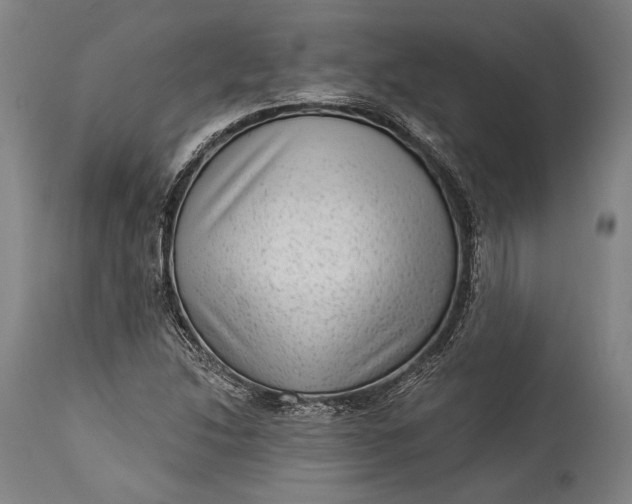 X0000115291214200911161626