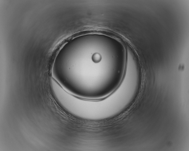 X0000115291215200911161626