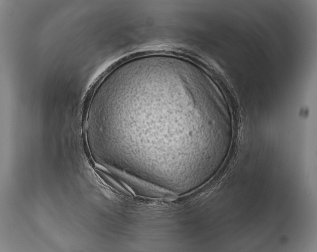 X0000115291216200911161626