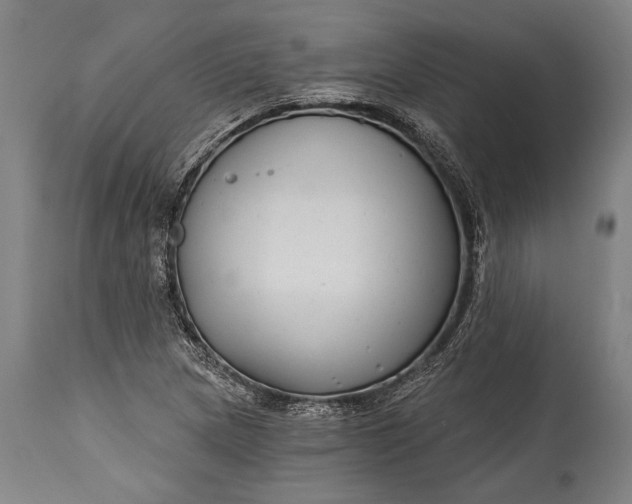 X0000115291217200911161626