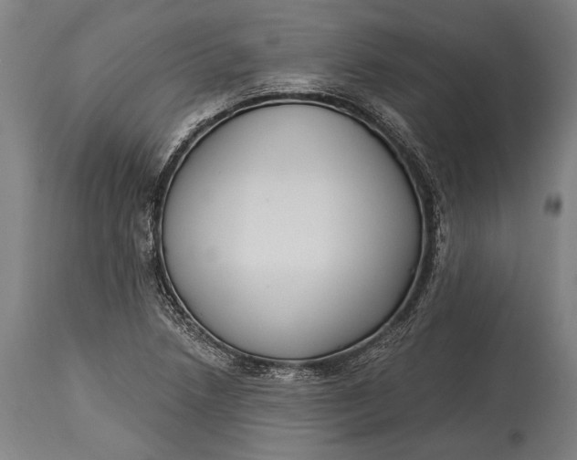X0000115291218200911161626
