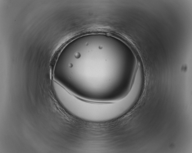 X0000115291219200911161626