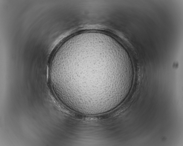 X0000115291221200911161626