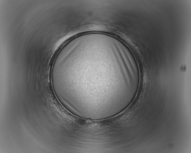 X0000115291222200911161626