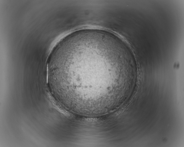 X0000115291223200911161626