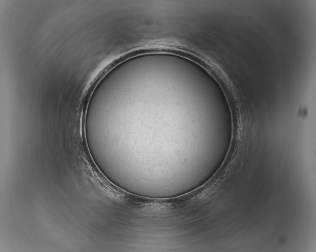 X0000115291224200911161626