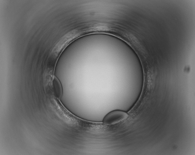 X0000115291225200911161626